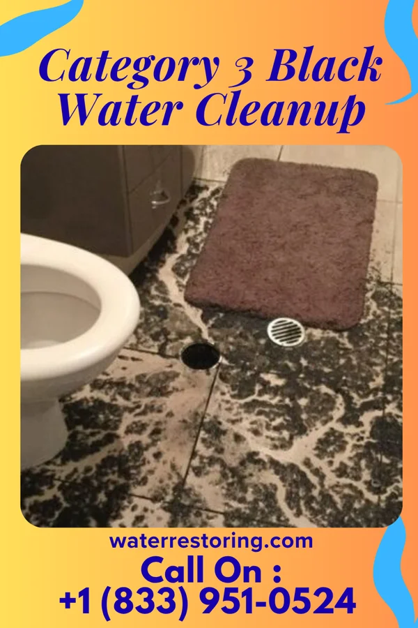 Category 3 Black Water Cleanup in Mahtomedi, MN