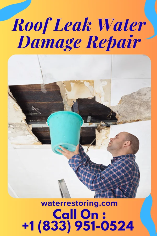 Roof Leak Water Damage Repair in Mahtomedi, MN